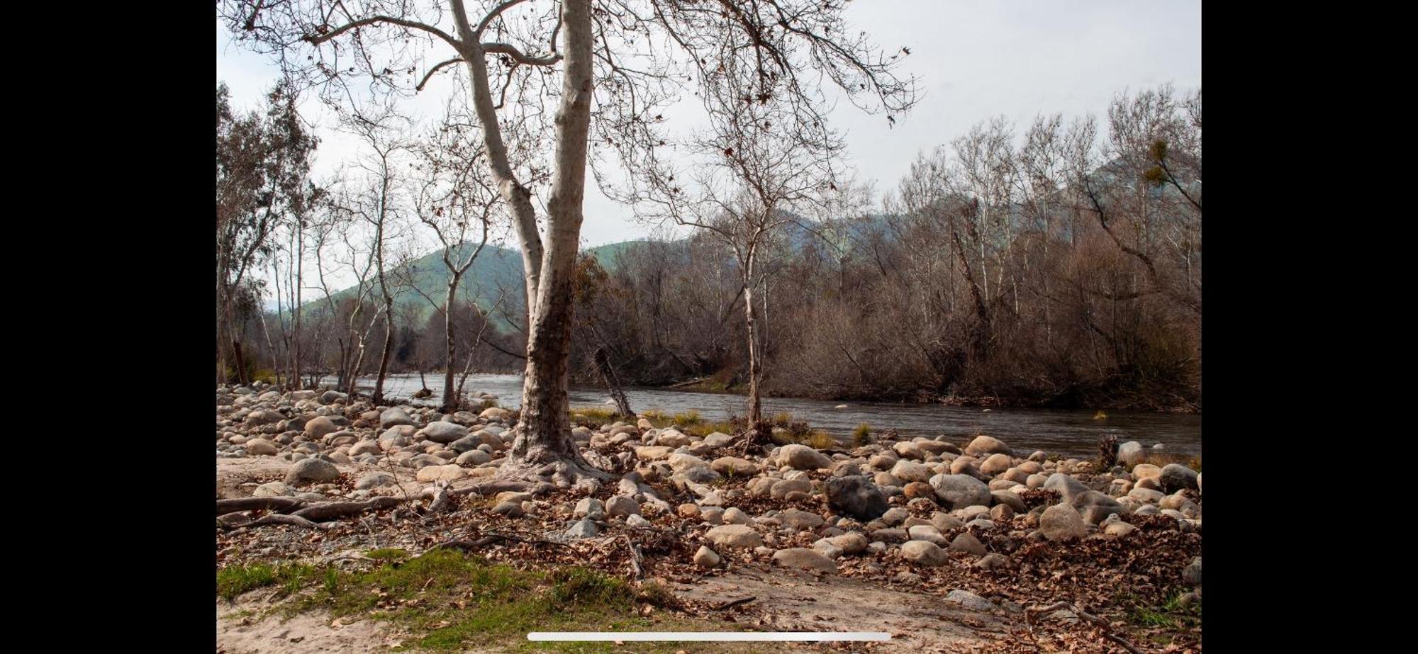 Sequoia River Front Cabins Трі-Риверс Екстер'єр фото
