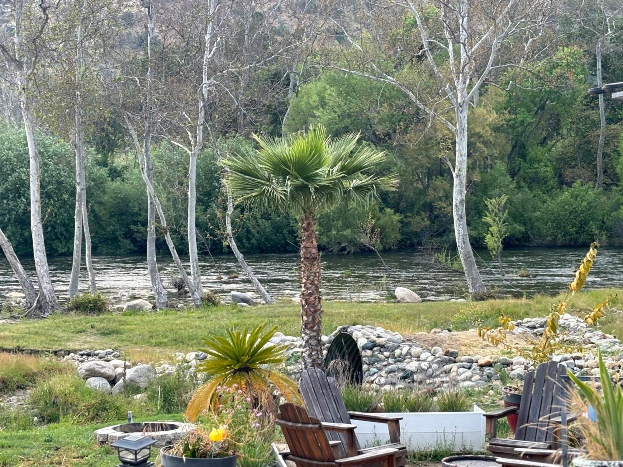 Sequoia River Front Cabins Трі-Риверс Екстер'єр фото